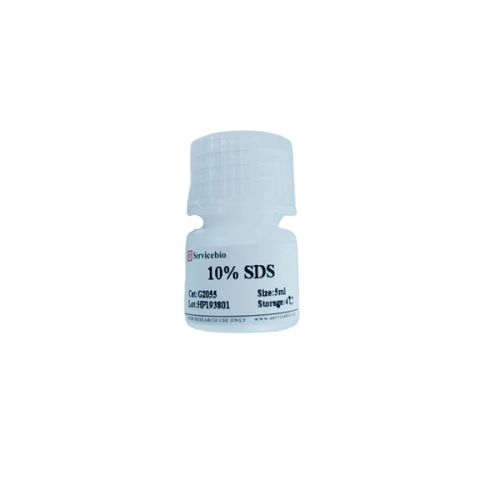 G2055-100ml 100 ml Solution de sulfate de sodium de sodium 10% SDS