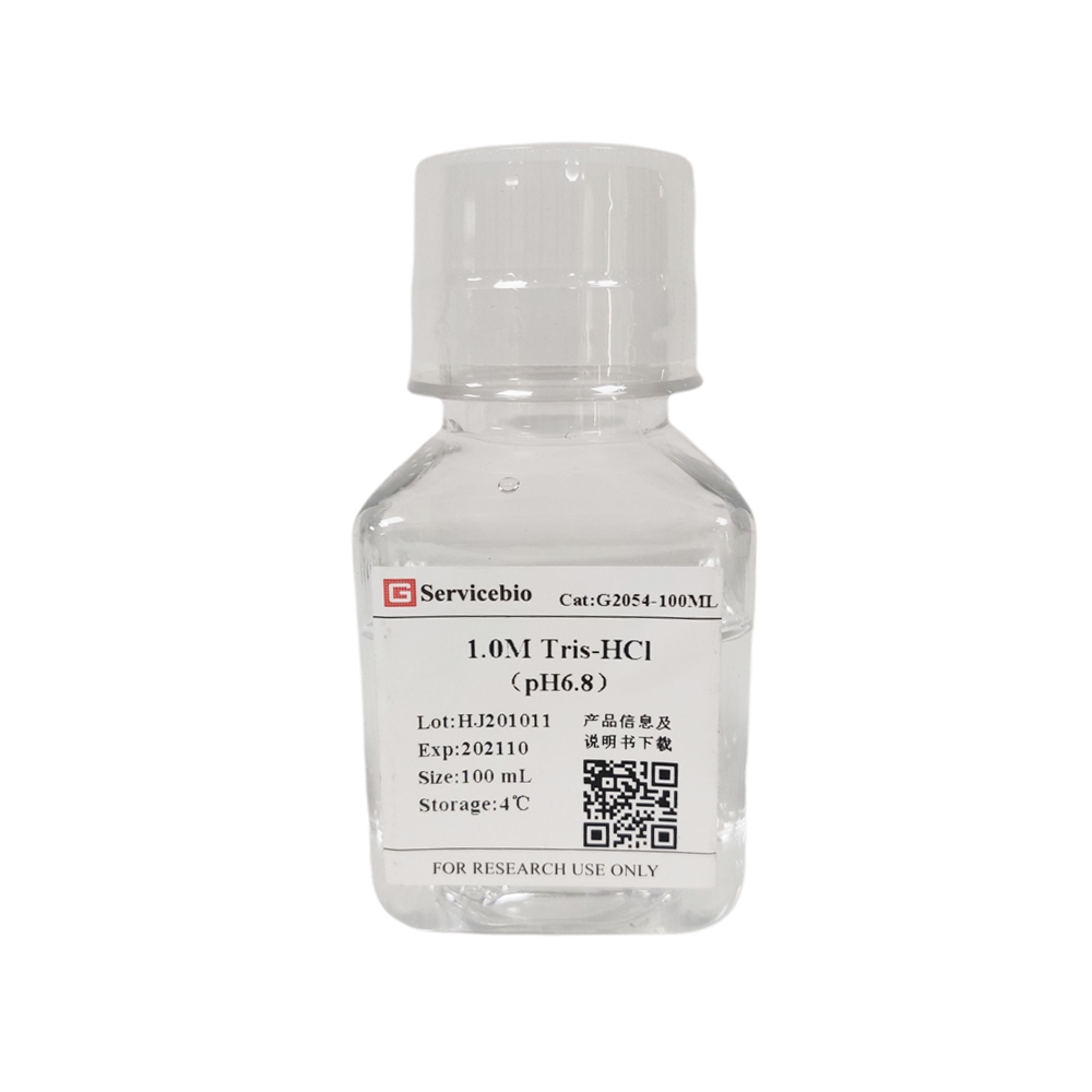 G2054-500ml 500 ml 1 m Tris-HCl pH 6.8 pour la configuration de gel de concentration