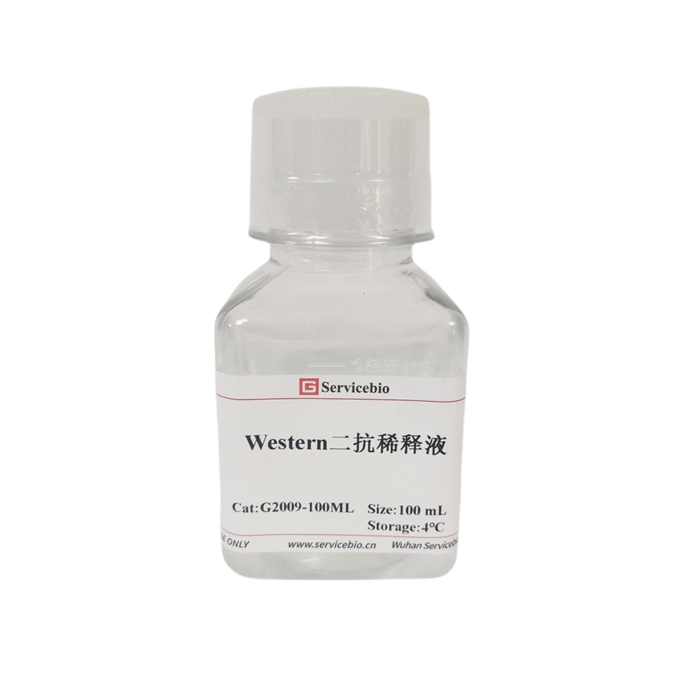 G2009-100ML Tampon de dilution d'anticorps secondaire occidental de 100 ml