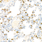 //rnrorwxhrkjnln5q-static.micyjz.com/cloud/llBpjKnjlkSRqippkjlniq/02711d55a73961fcf79f2f01555f73ab-60-60.jpg