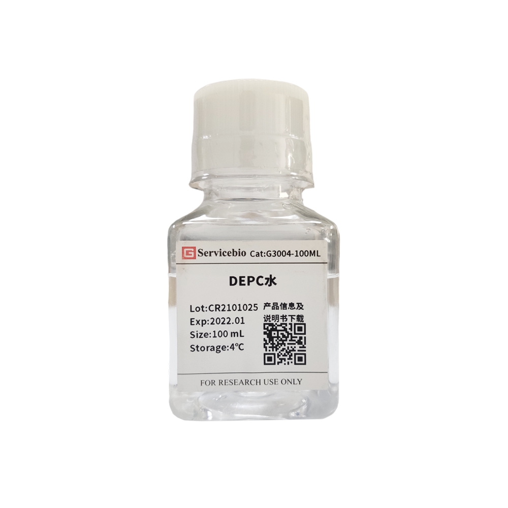 DIETHYLPYROCARBONATE 0,1% de DePC Eau pour l'eau ultrapure stérile du système de réaction d'ARN