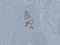 //rnrorwxhrkjnln5q-static.micyjz.com/cloud/loBpjKnjlkSRqipplkmriq/11c70985edaa7366ac2579780fd4d3eb-60-60.png