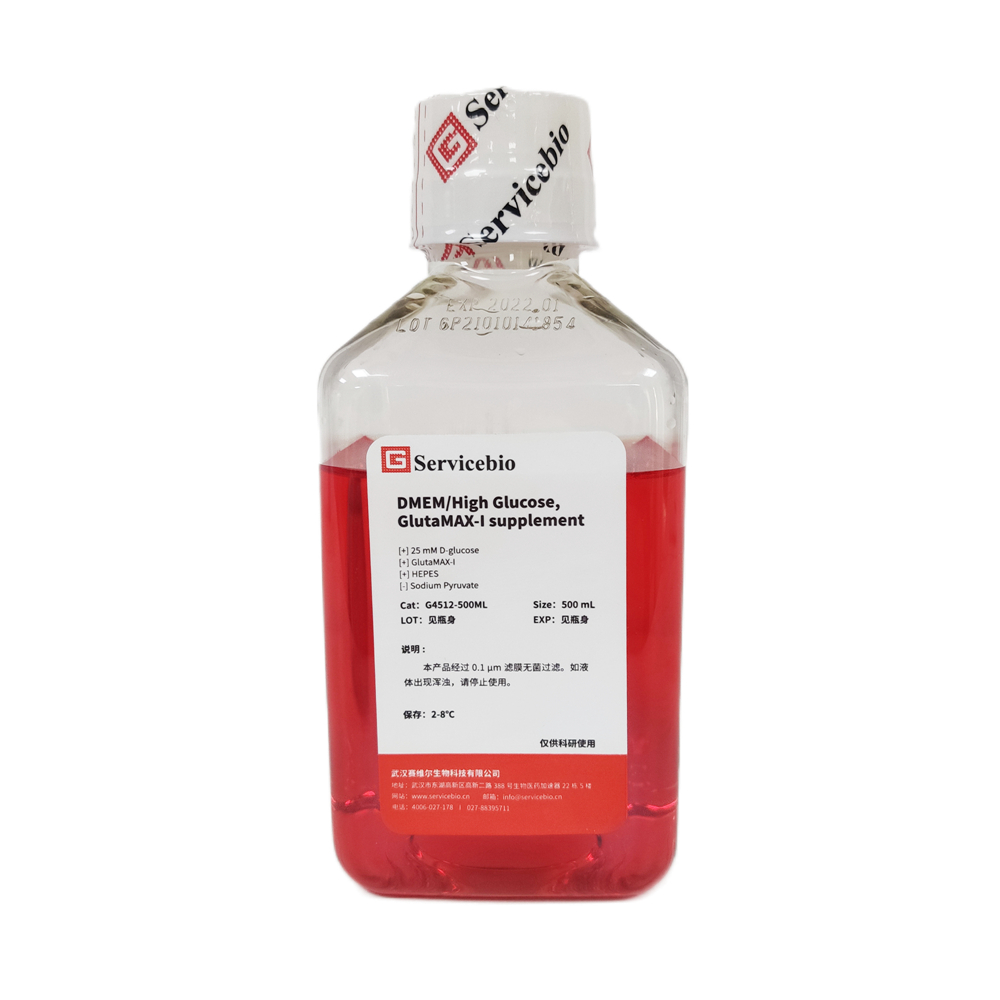 DMEM / Haute glucose, Supplément Glutamax-i, Hepes 500ml