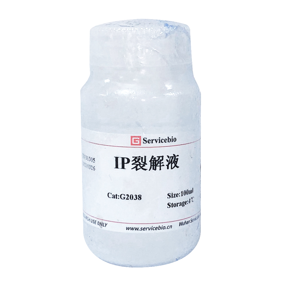 G2038-100ML Tampon de lyse IP de 100 ml pour précipitations d'immunol