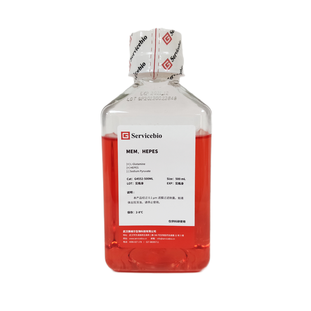 G4552-500ML Moyens essentiels minimum de 500 ml avec des hépines pour une cellule adhérente