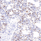 //rnrorwxhrkjnln5q-static.micyjz.com/cloud/lrBpjKnjlkSRqippijpmip/7086f67377e965074c8097b2c0e86163-60-60.jpg